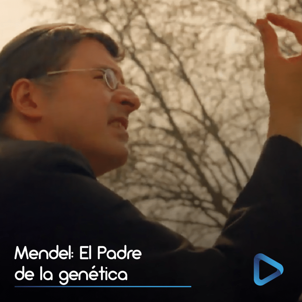 Mendel el padre de la genética, ciencia y fe son compatibles