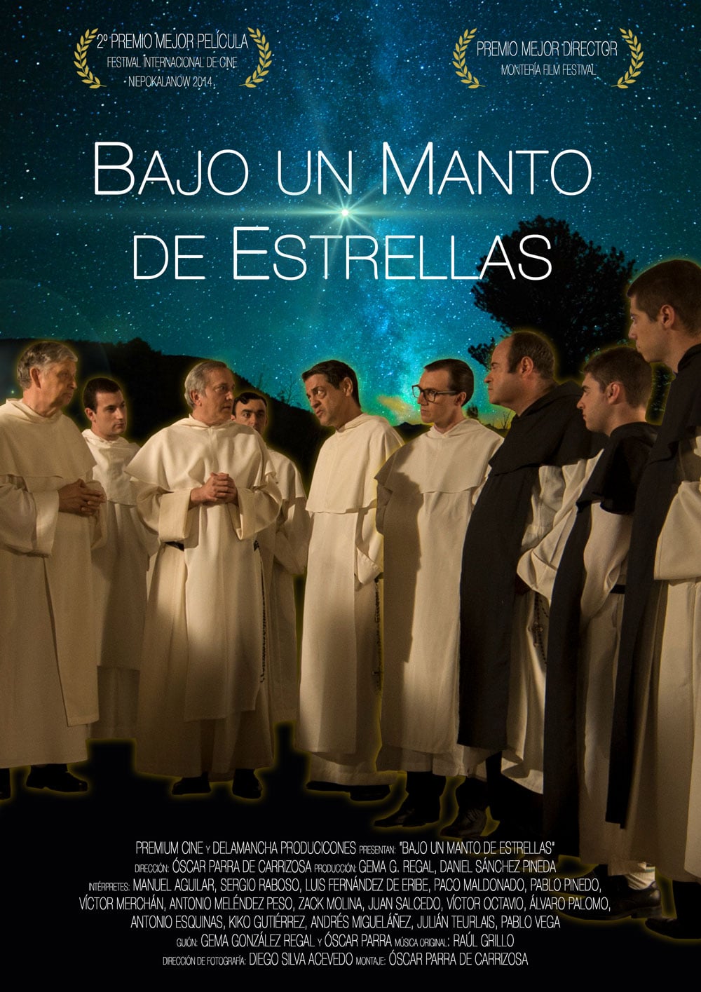 Bajo un manto de estrellas